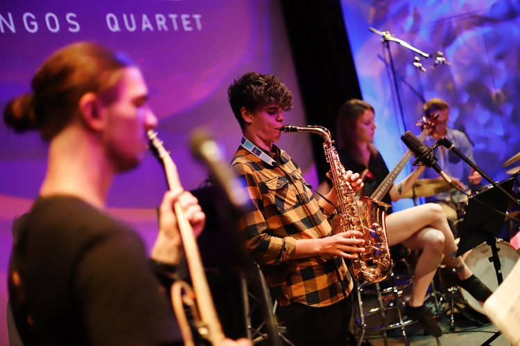 Blue Flamingos Quartet Blue Flamingos Quartet