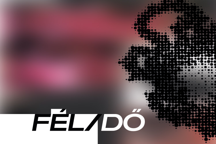 FÉLIDŐ - kiállítás megnyitó