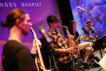 Blue Flamingos Quartet Blue Flamingos Quartet