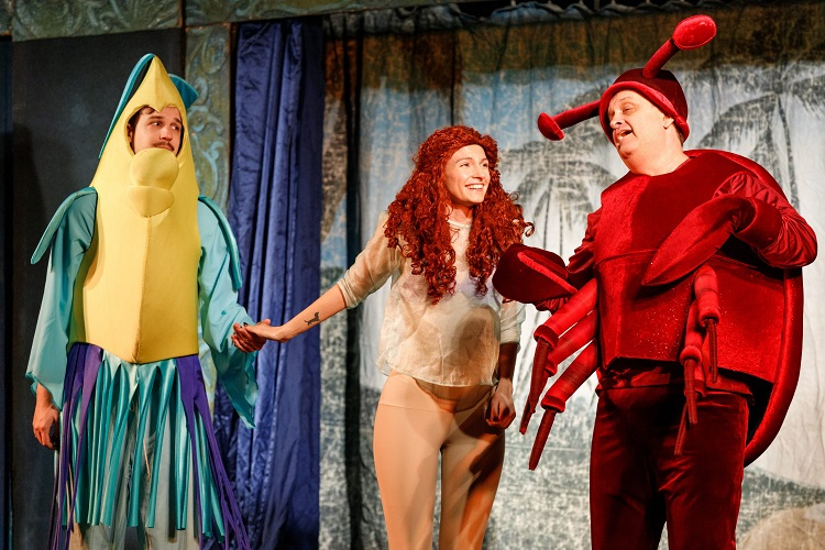 Programs for Children : Fogi színház: The Little Mermaid artwork from Budapest Jazz Club