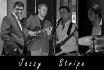 Jazzy Stripe Jazzy Stripe