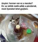 Pintér Zoltán Triot feat. Raboczki Balázs Pintér Zoltán Triot feat. Raboczki Balázs